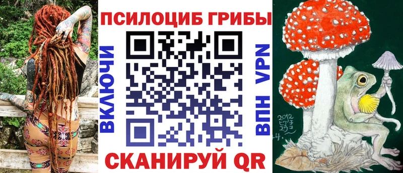 Псилоцибиновые грибы Psilocybe  наркошоп  Пучеж 